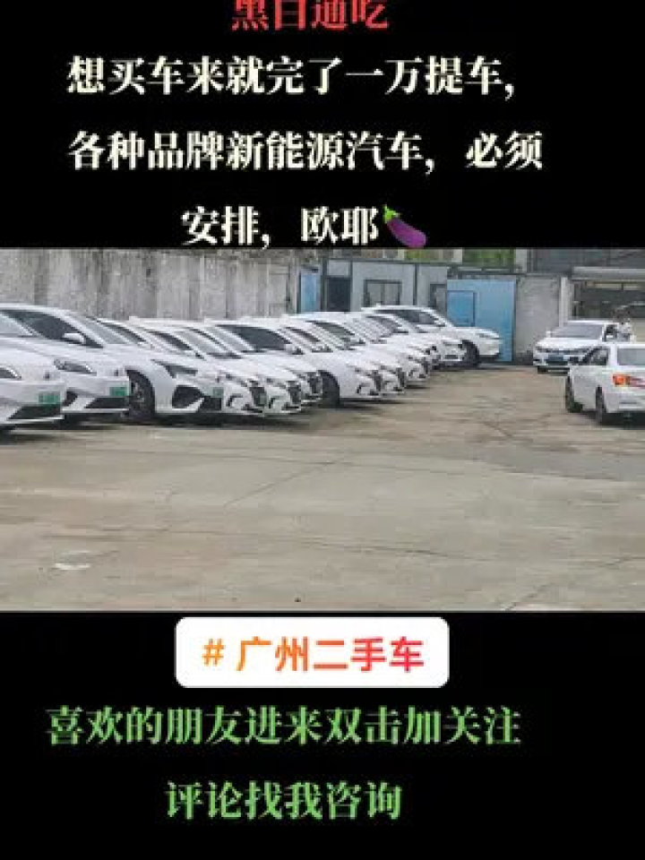 新能源汽车提车指南｜新能源汽车购车攻略