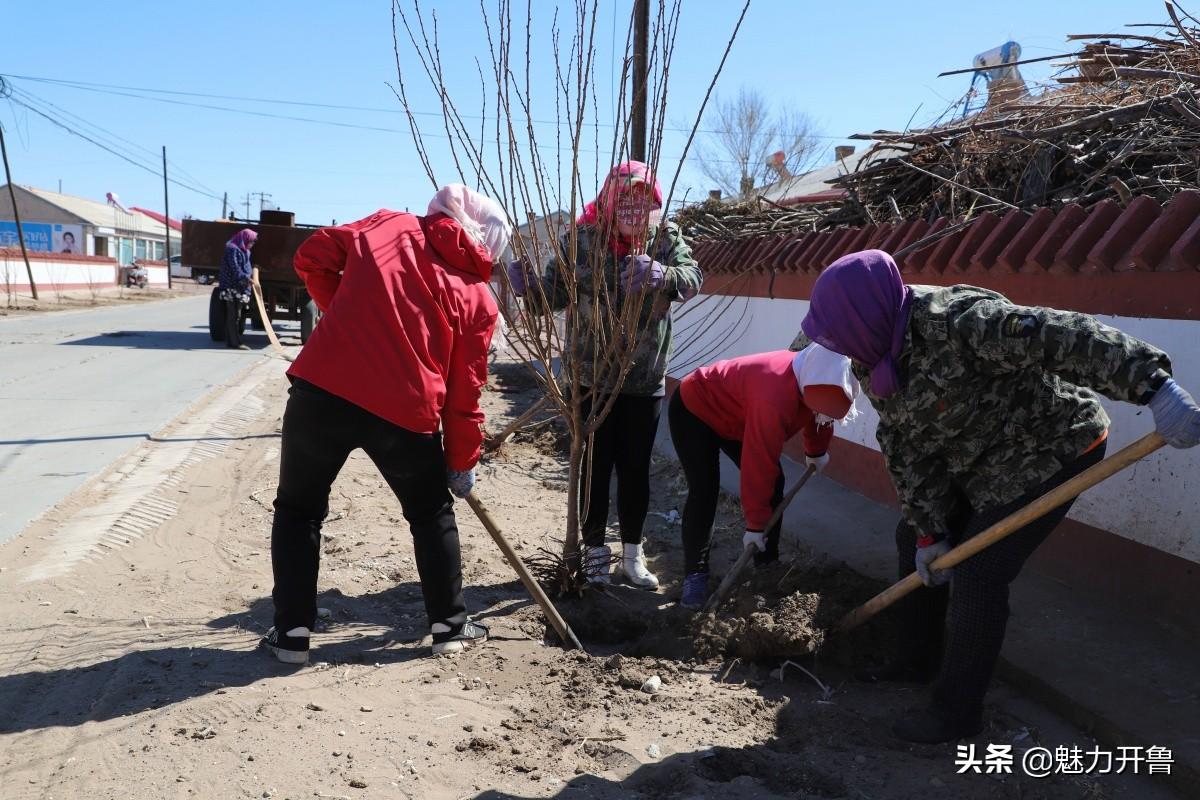 新能源汽车购置指南：探索绿色出行新选择