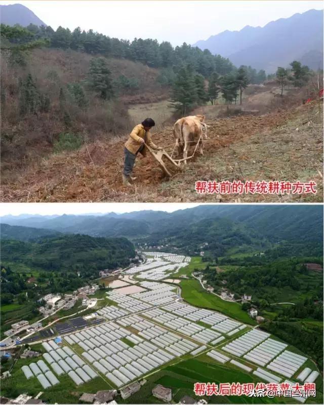 恒大新能源汽车技术｜恒大新能源技术革新