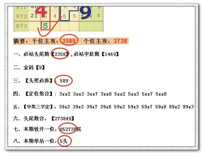 香港特马资料王中王｜精选解析解释落实_Z72.710